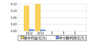 股东权益+未分配利润